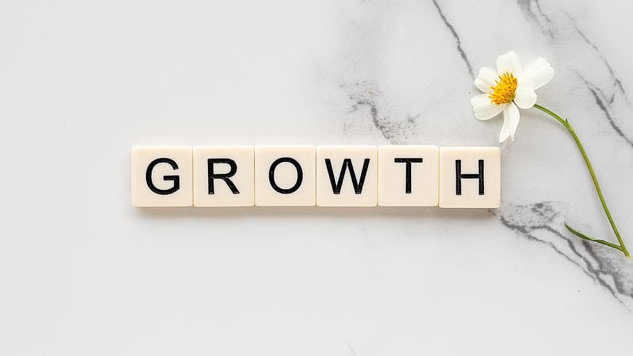 growth, development, success, sprout, grow, flower, text, flowering plant, communication, western script