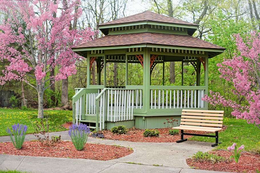 brown, wooden, bench, green, gazebo, surrounded, trees, spring, flowering trees, pink