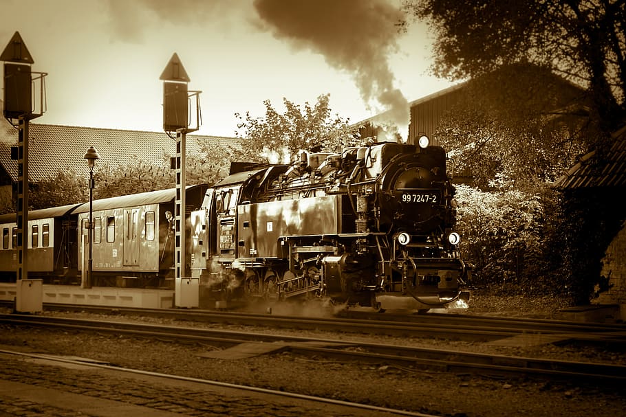Train, Steam Locomotive, locomotive, loco, railway, historically, nostalgic, narrow gauge railway, resin, schmalspurbahn harzer