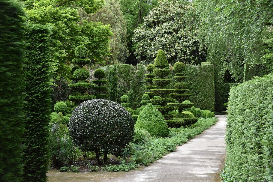 garden, park, shrubs pruned, nature, plant, allee, path, growth, tree, green color
