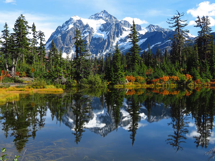 山, 湖, ワシントン州, 木, 雪, 入り江, 昼間, 反射, 植物, 自然の美しさ