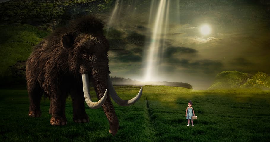fantasy, mammoth, child, nature, encounter, dream world, fantasy picture, landscape, atmospheric, full length
