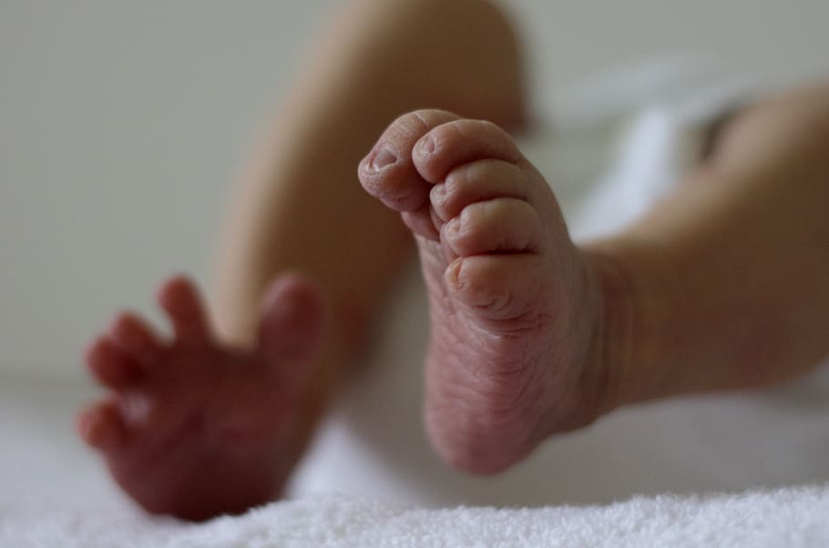 pie de bebé, pies, renacer, bebé, diez, recién nacido, vivir nuevo, pies de bebé, familia, parte del cuerpo humano