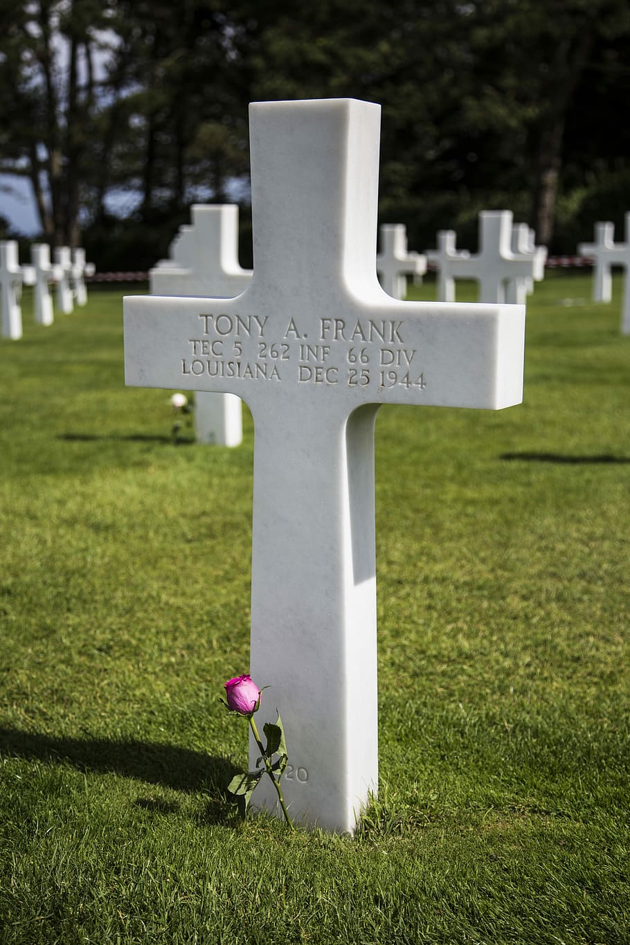 Descanso, Pieza, Tumba, Segunda Guerra Mundial, Descanso en pieza, cementerio americano, Francia, Normandía, cruz, cementerio