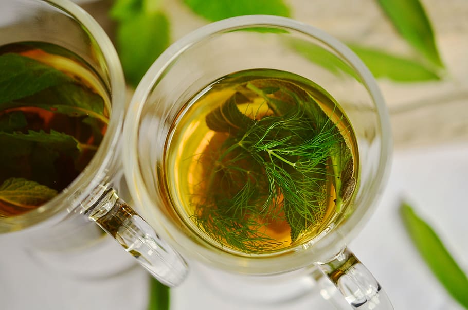tea, filled, clear, glass, herbal tea, herbs, tee, fennel, mint, sage