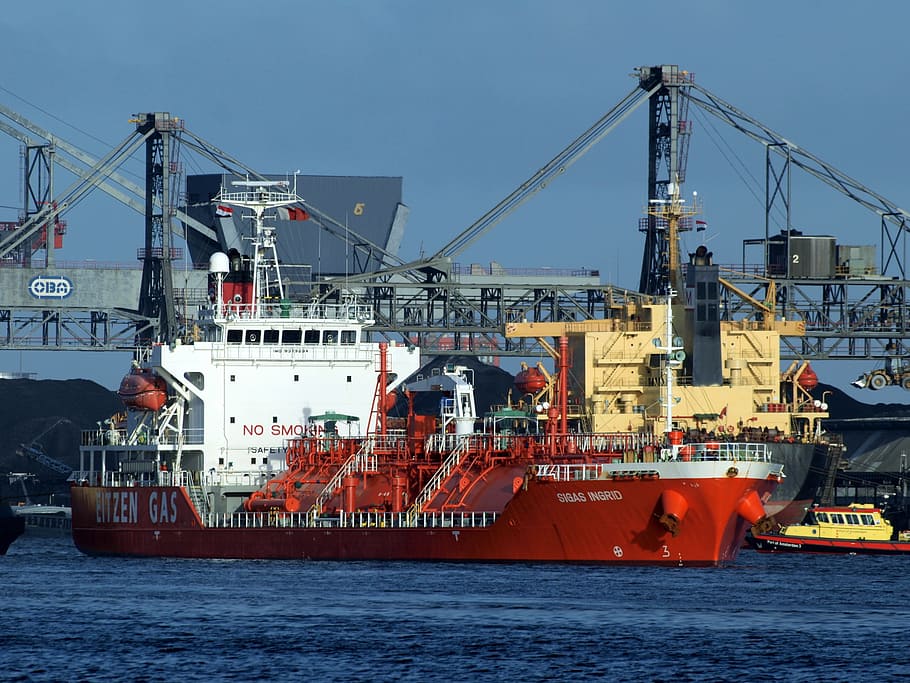 white, red, ship, dock, transporter, sigas ingrid, gas, frachtschiff, freighter, amsterdam