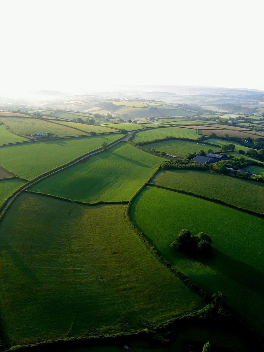 landscape, aerial, view, fields, countryside, rolling hills, farms, land, green, borders