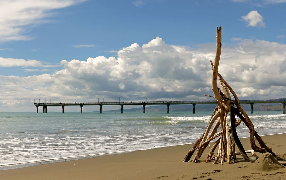 Playa, arte, New Brighton, Brighton Beach, Nueva Zelanda, madera de deriva en la orilla del mar, agua, cielo, mar, nube - cielo