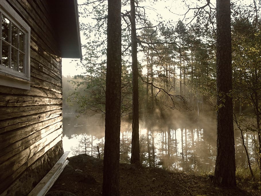 body, water, covered, mists, cabin, cottage, lake, nature, rural, peaceful