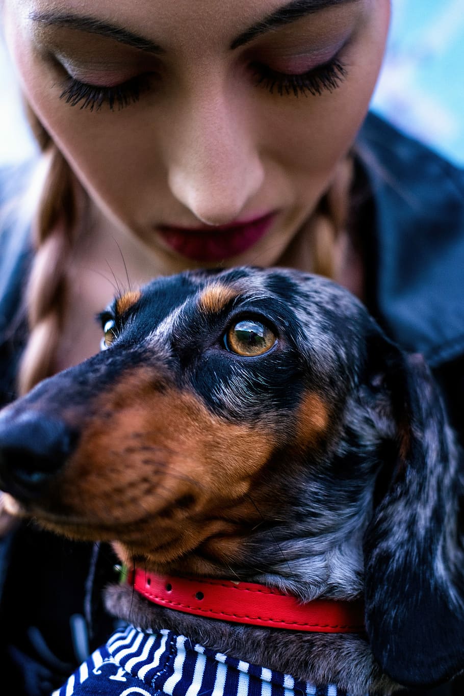dapple dachshund, Best Friend, Dachshund, Dog, Girl, portrait, summer, rock, journey, pets