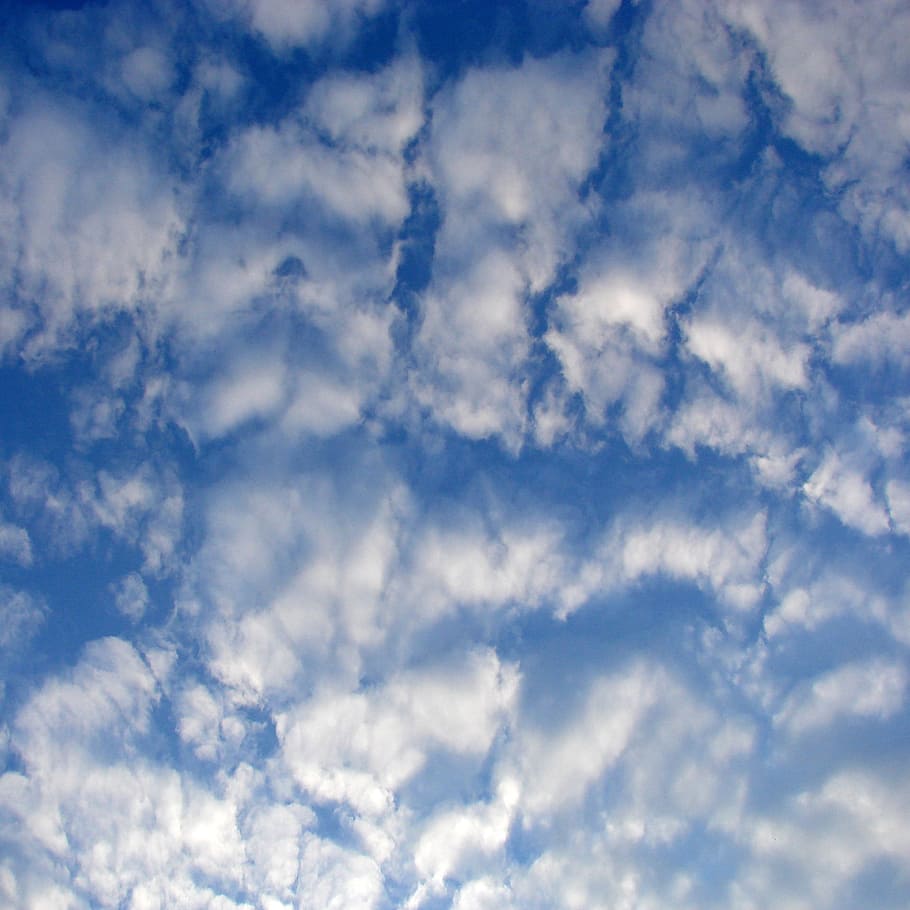 awan, langit, cuaca, udara, hari, lingkungan, ruang, cloudscape, pemandangan, kumulus