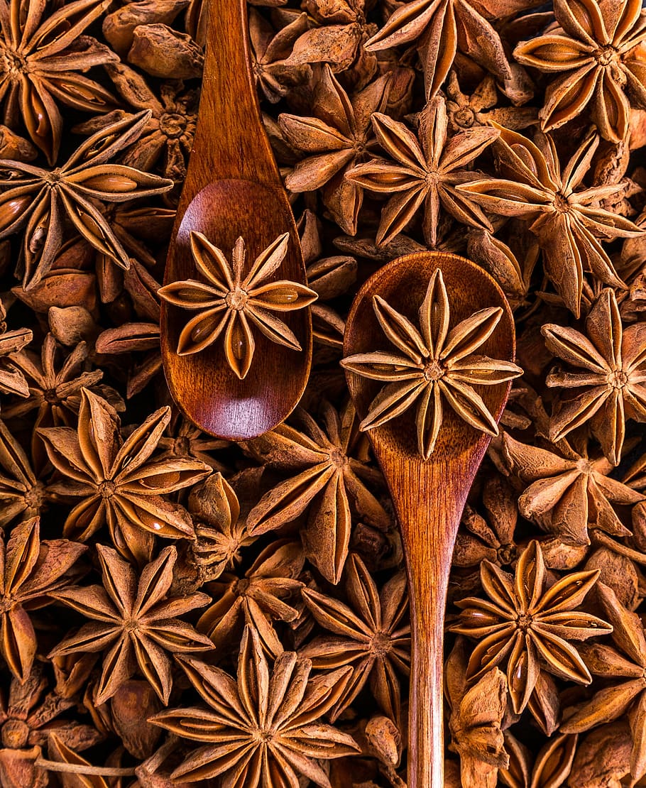 bunch, brown, nut, wooden, ladle, anise, spices, seeds, sprockets, aroma