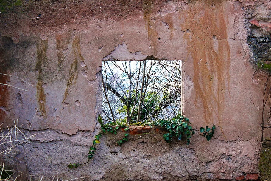 Window, Hole, Green, Tree, Wall, Texture, green, tree, rusty, brick, concrete