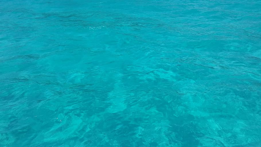 水 海 ターコイズ ターコイズブルーの海 サンゴ礁 青い海 湖 サンゴ 深海 ビーチ Pxfuel