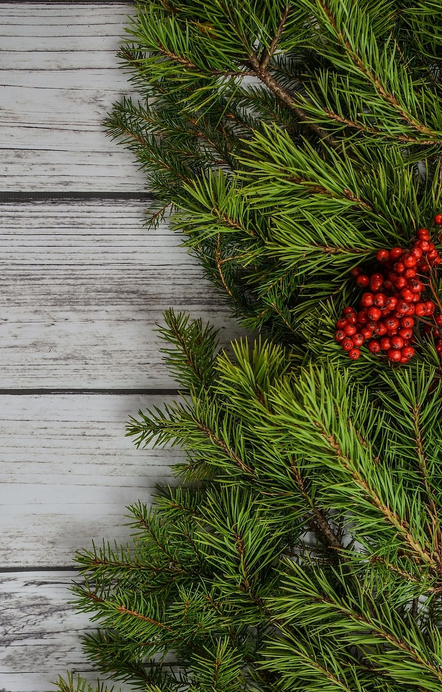 closeup, view, green, pine tree, background, backdrop, christmas, decoration, pine, xmas