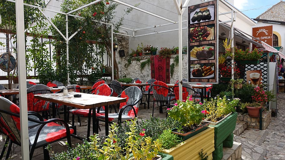 silla, restaurante, terraza, comedor, cafetería, bosnia, planta, negocio, mesa, planta floreciendo