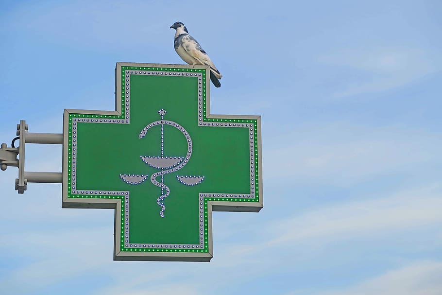 Dove, Pharmacy, Cross, sky, advertisement, bird, green color, outdoors, low angle view, day