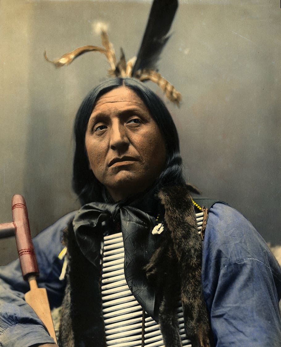 родной, американский, синий, одежда, портрет, левый медведь, начальник, oglaha sioux, индеец, коренной американец