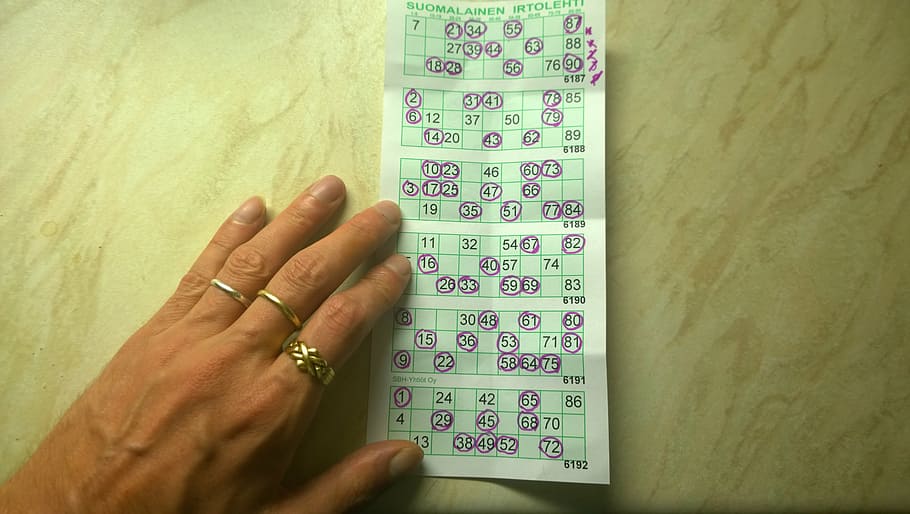 person, holding, green, card, bingo, coupon, lucky, ticket, game, chance