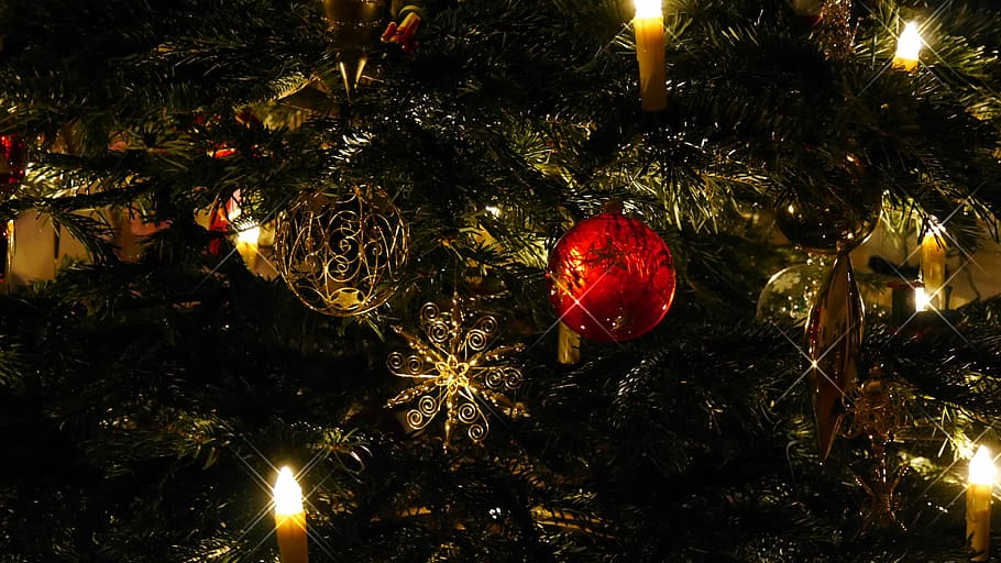 Christmas Tree, Sparkle, christmas, background, christmas ornaments, night, illuminated, red, celebration, tree