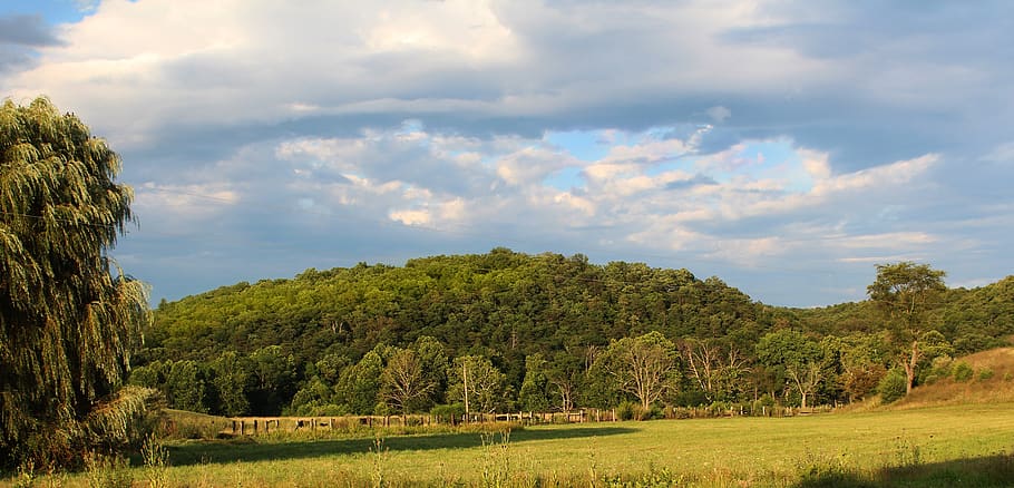 shenandoah valley, virginia, country, ridge sky, tree, plant, cloud - sky, beauty in nature, tranquility, tranquil scene