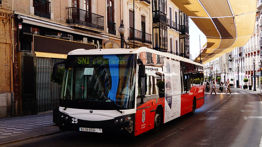 スペイン, グラナダ, 交通, バス, 都市, 公共交通機関, 晴れた日, 旅行, 建築, 交通手段