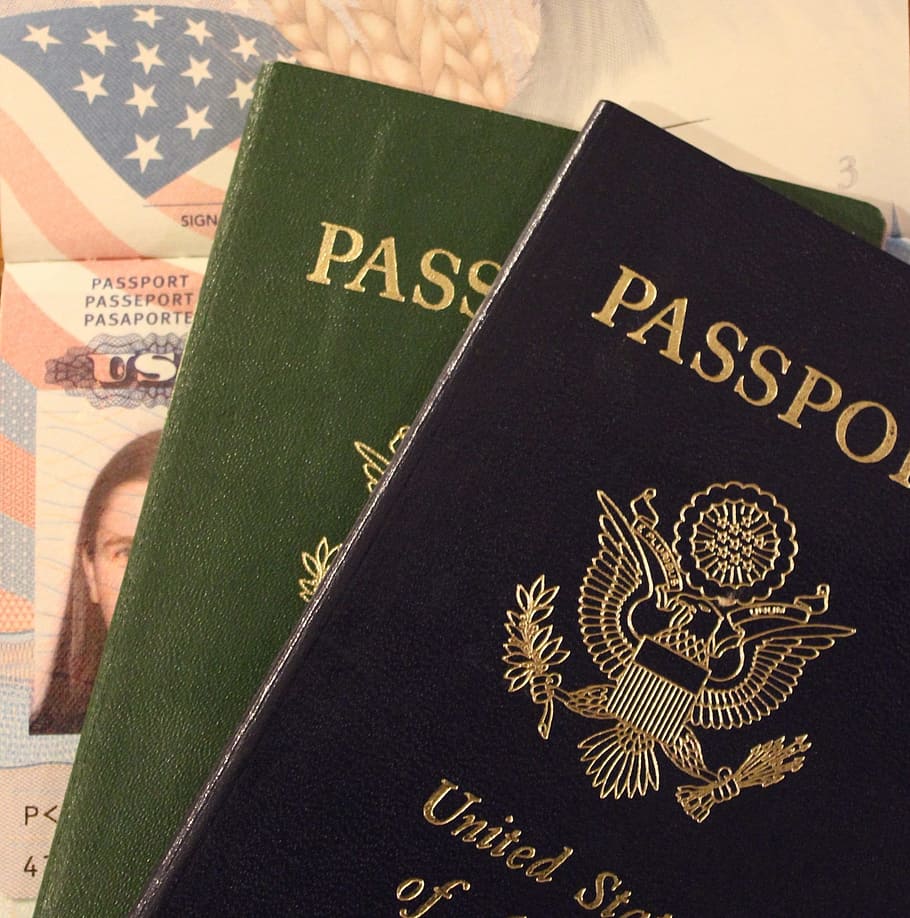 두, 검은, 녹색, 여권, 미국, 문서, 여행, 식별, 이민, 신분증