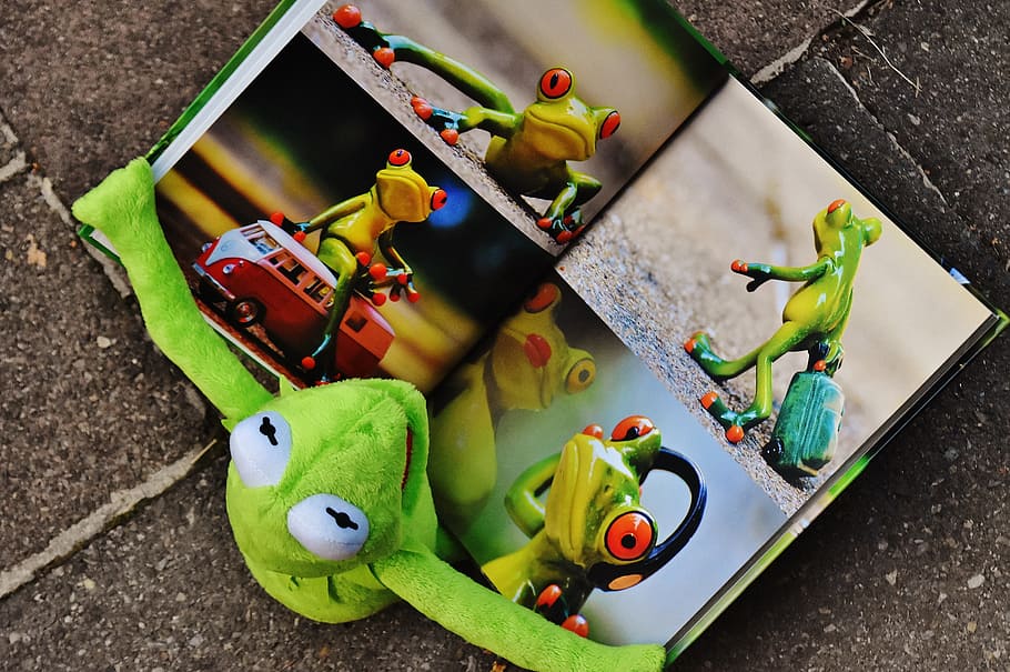 kermit, frog, plush, toy, book, picture book, to watch, sit, figure, funny