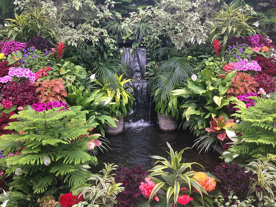 assorted, flowers, outdoor, fountain, garden water, landscape, colorful flowers, garden, waterfall, pond