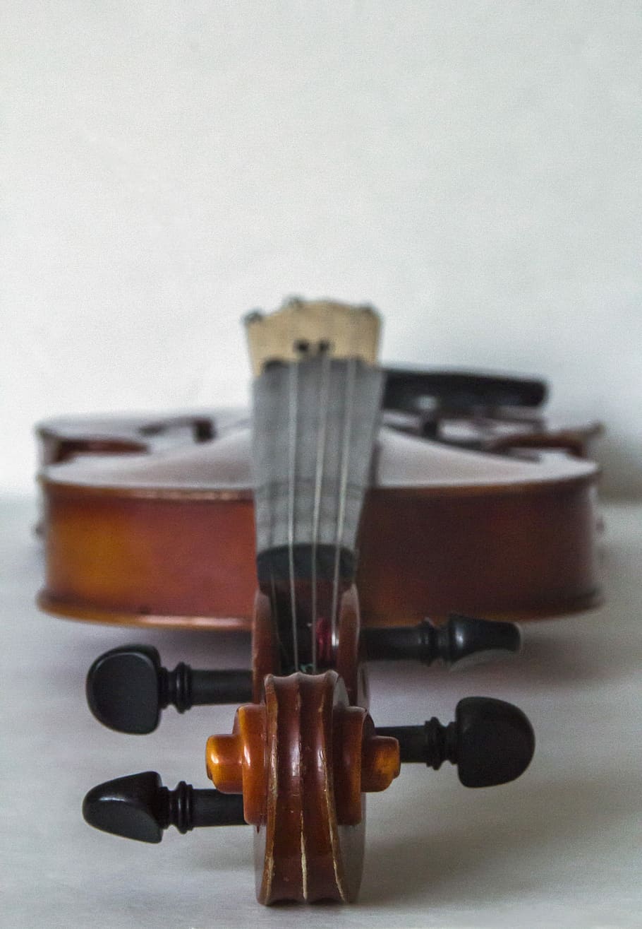 ヴァイオリン, 音楽, クラシック, 楽器, 弦, 木材, ヴィンテージ, 古い, バイオリニスト, スタジオショット | Pxfuel