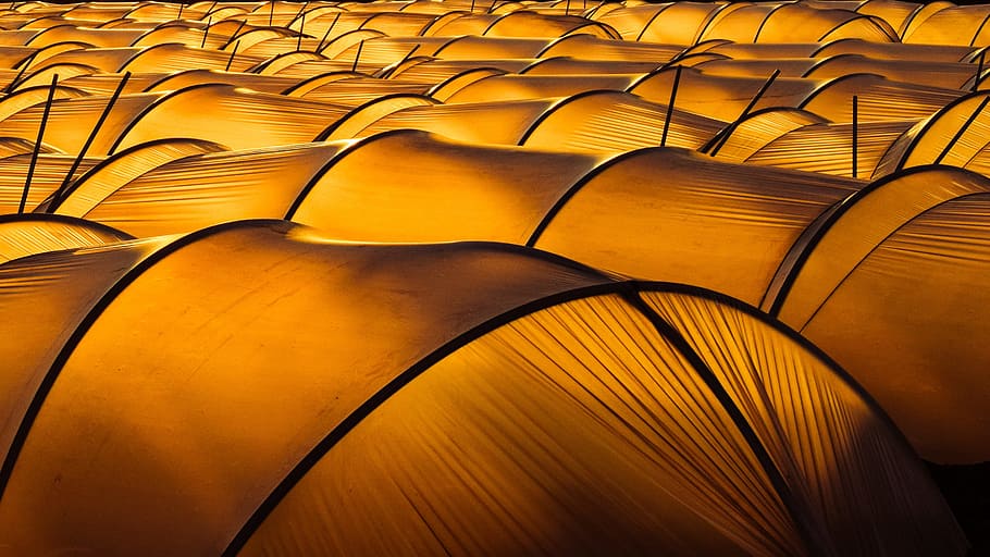 yellow, black, tent lot, greenhouse, hothouse, agriculture, farm, cultivation, transparent, sunlight