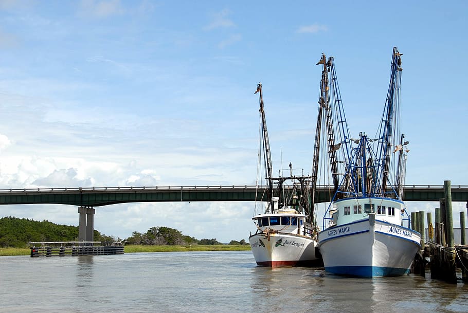 Shrimp Boat, Nets, Netter, commercial fishing, industry, business, fishing, boat, shrimp, water