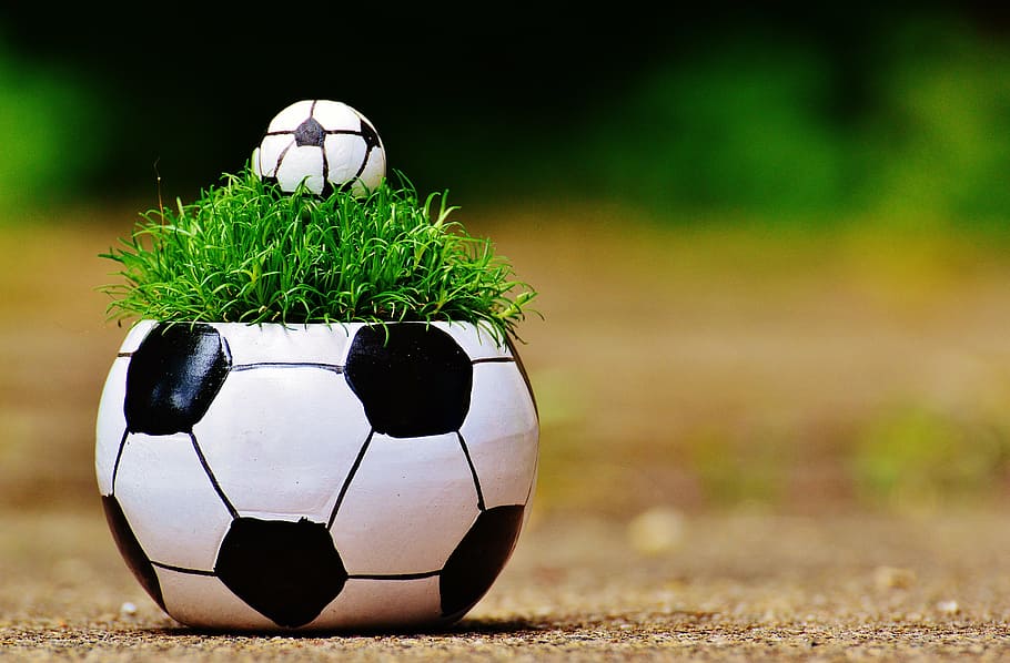 soccer-themed plant pot, shallow, photography, european championship, football, 2016, grass, france, tournament, competition