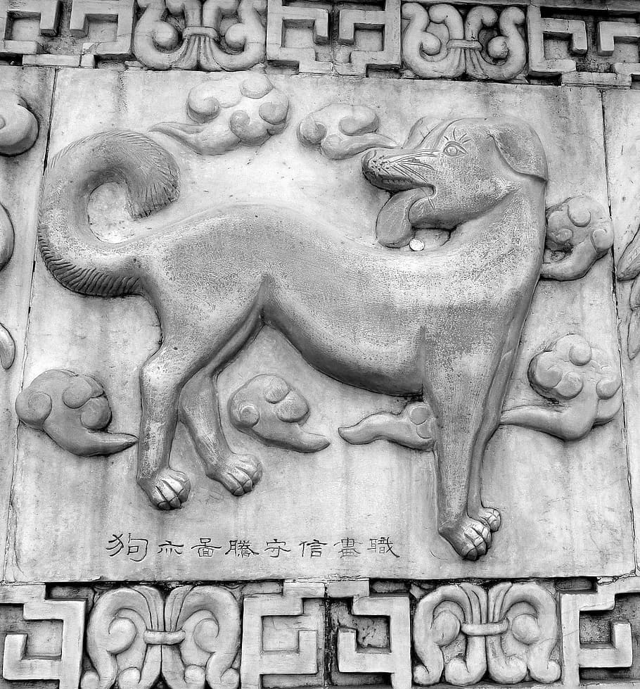 cachorro, horóscopo chinês, símbolos, animais, cantaria, pedra, escultura, obra de arte, antigo, histórico