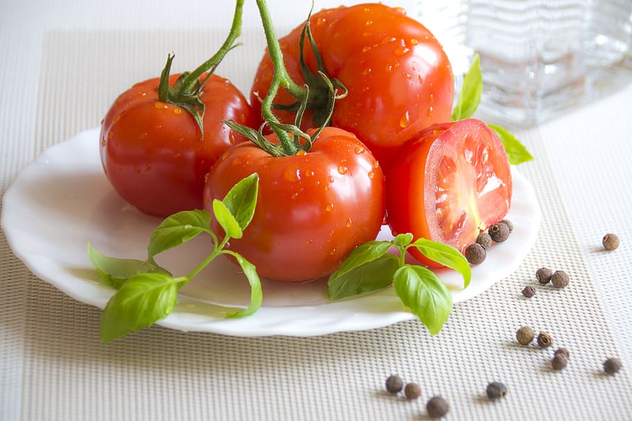 tomato, plant, crops, fruit, red, plate, fresh, leaves, green, table