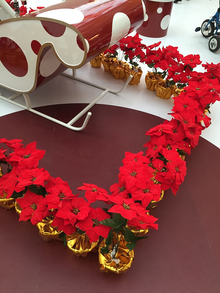 christmas eve, christmas, the mall, plaza, shopping, commercial, flower, bobsleigh, flowering plant, plant