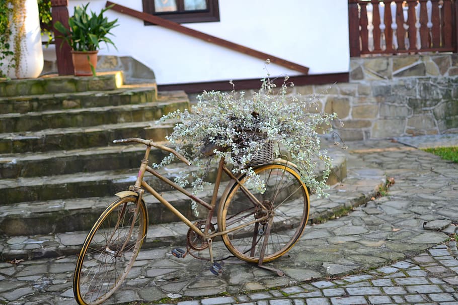 gold-colored bicycle plant pot, outdoor, daytime, ornament, decoration, the art of, composition, architecture, built structure, day