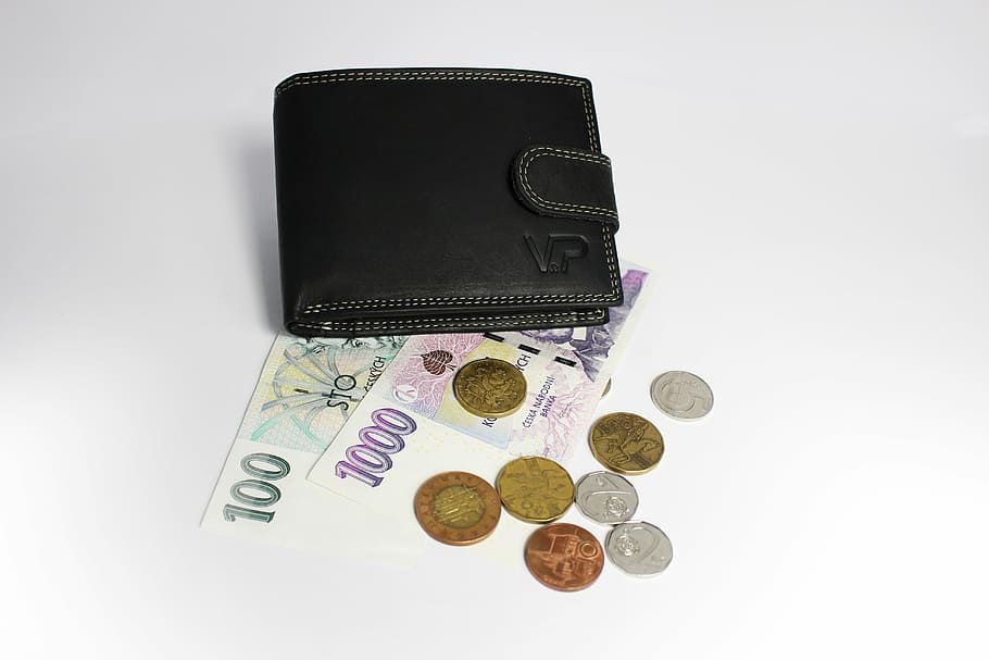 money, wallet, banknotes, leather wallet, coins, finance, business, currency, coin, paper currency