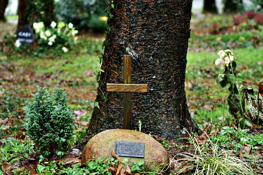 burial, cemetery, mourning, woodland cemetery, graves, tombstone, urn, religion, fried forest, catholic