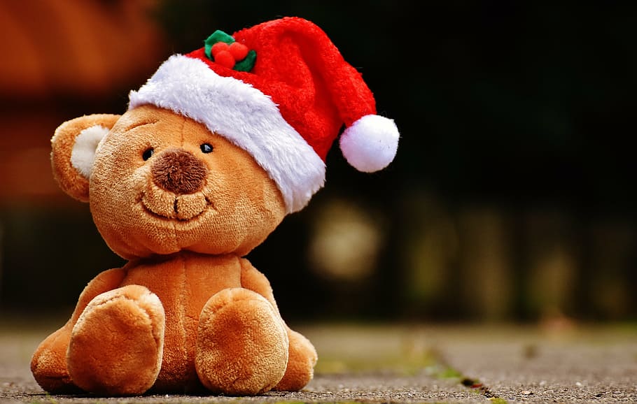 brown, bear, santa hat, plush, toy, christmas, teddy, soft toy, funny, teddy bear