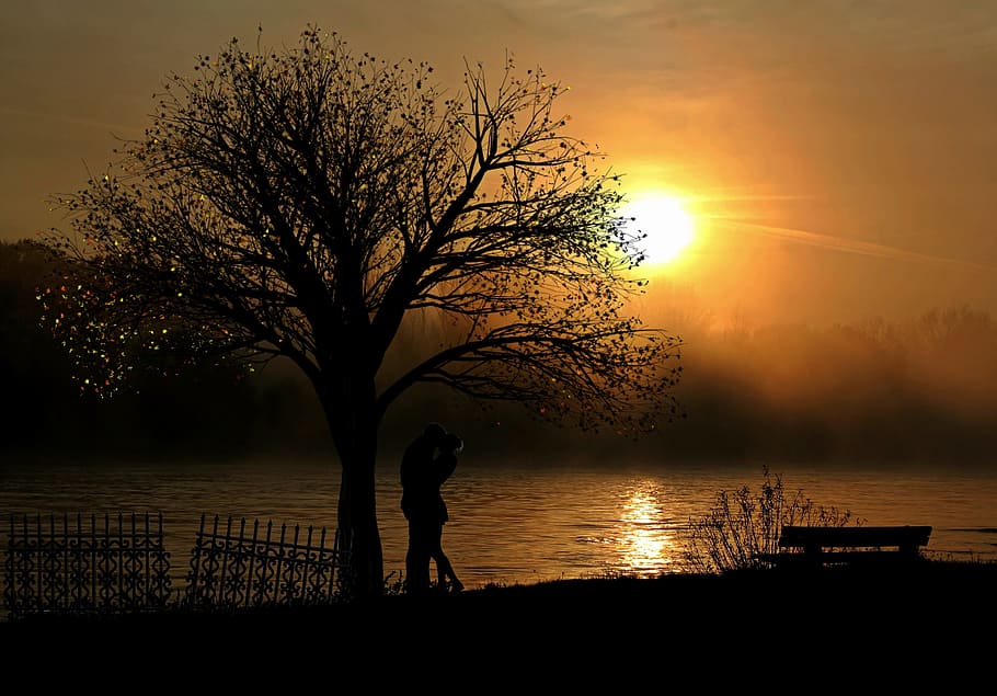 couple silhouette, tree, lovers, pair, love, sunset, romance, lake, bank, nature