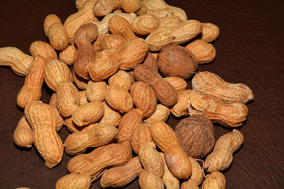 peanuts, nuts, walnuts, nutrition, healthy, food and drink, food, nut, large group of objects, wellbeing