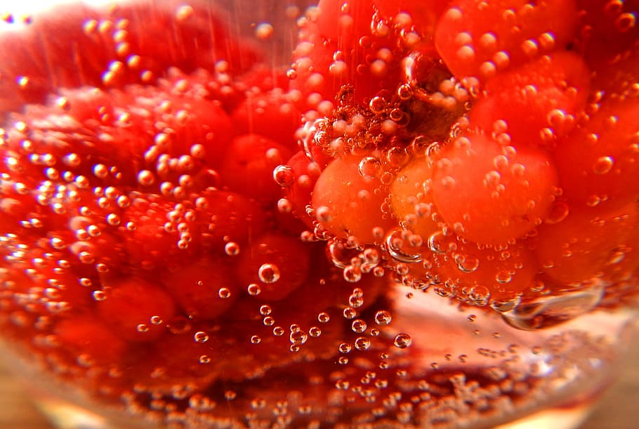 blackberries, raspberries, soda, bubbles, food and drink, close-up, food, fruit, freshness, berry fruit