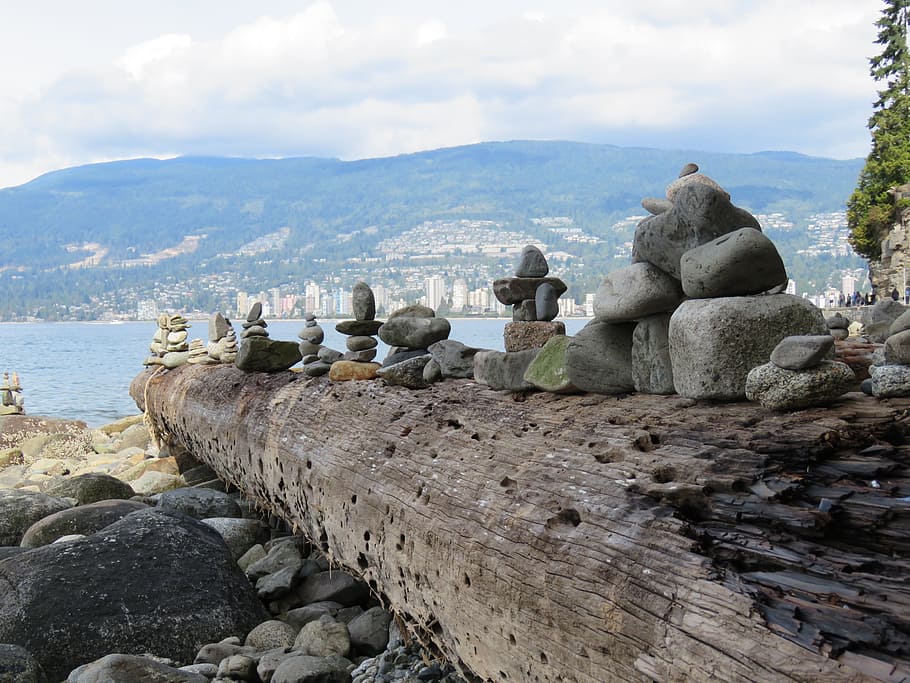 Canada, British Columbia, Bc, Vancouver, stanley park, nature, water, rock - object, day, outdoors