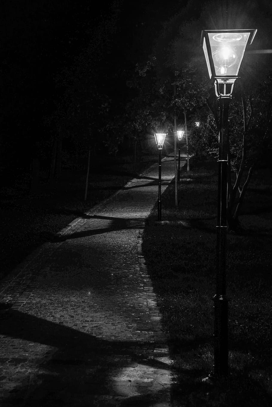 Camino, luces, blanco y negro, blanco, parque, vacío, noche, oscuro, tarde, bulbo
