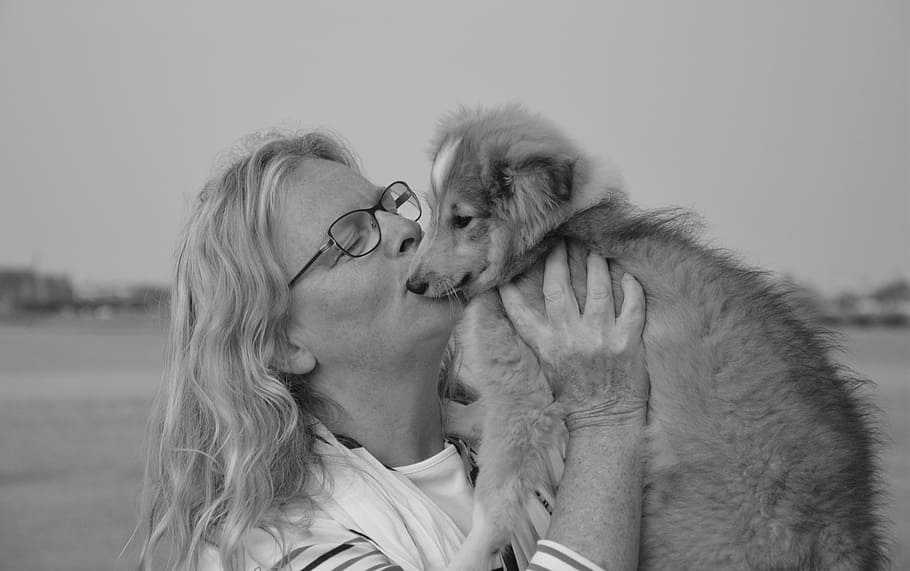 kiss, dog, woman, shetland sheepdog, tenderness, complicity, affection, love, emotions, feelings
