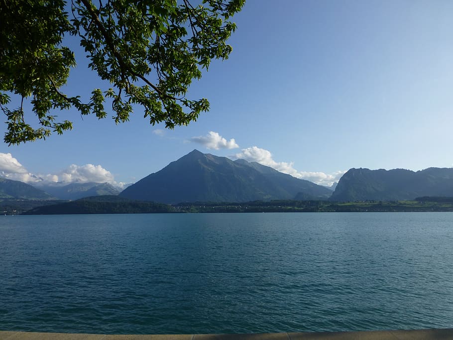 sneezing, lake thun, nature, mountain, water, beauty in nature, scenics - nature, sky, tranquil scene, tranquility