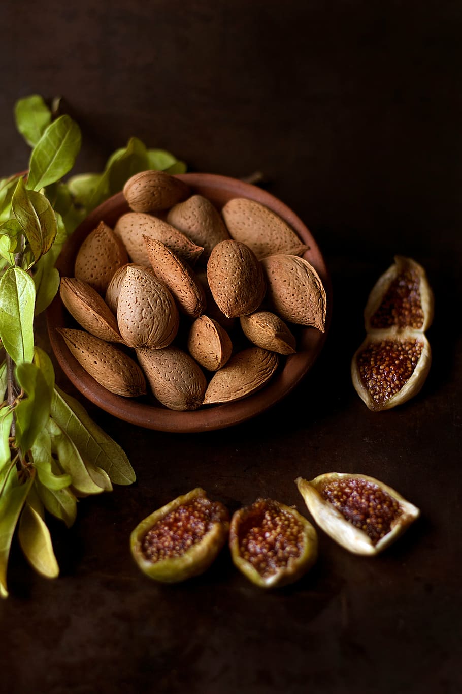 brown almond nuts, brown, hazel, nuts, flower, pot, green, leaves, plant, fruit