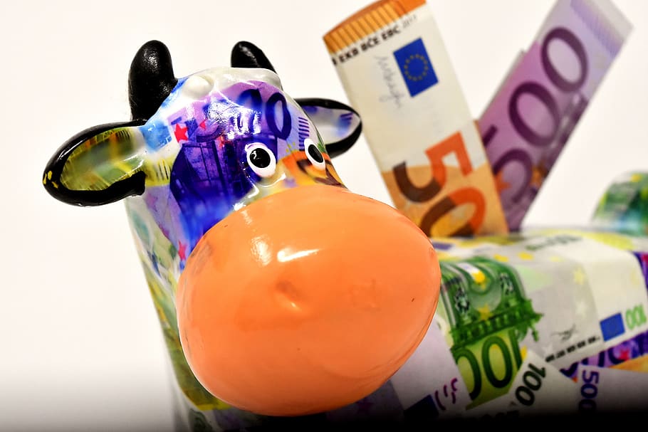 piggy bank, money, cow, dollar bill, 500 euro, 50 euro, save, ceramic, economical, funny