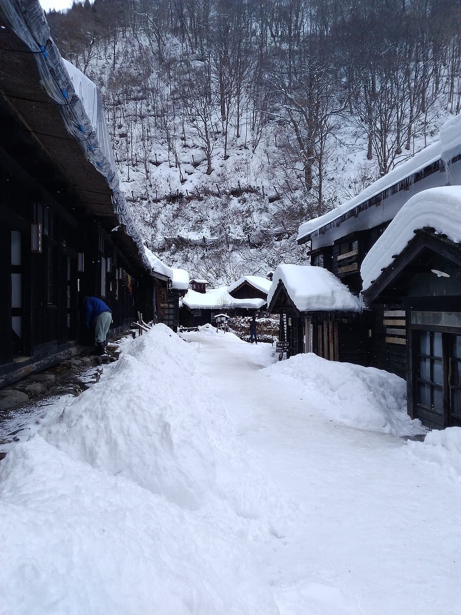 edifício japonês, neve, japão, inverno, viagem, sazonal, velho, casa, temperatura fria, estrutura construída